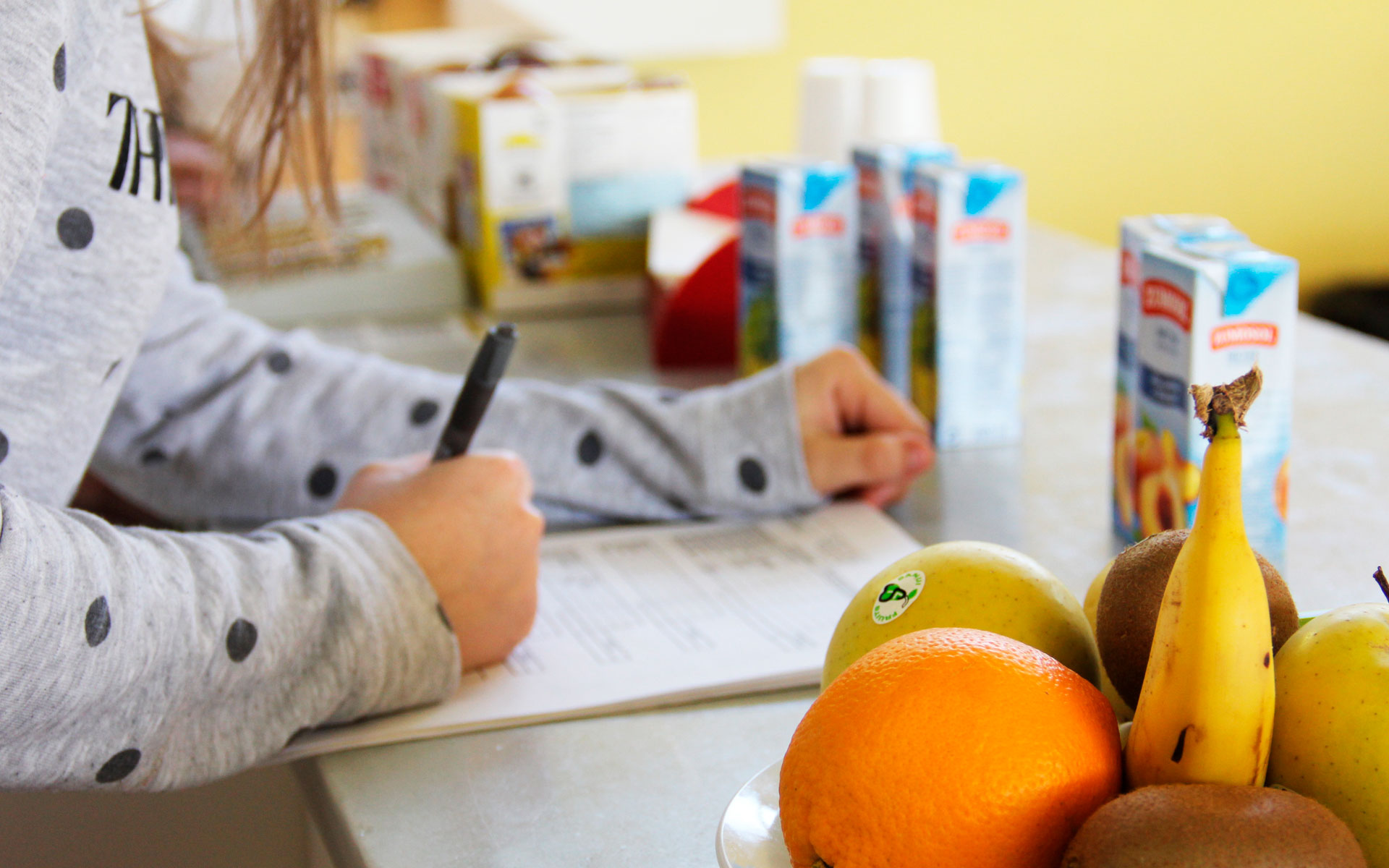 Escola Arrels | Solsona